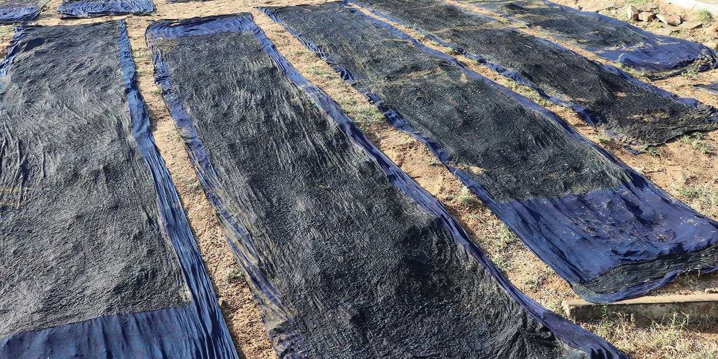 Hand Block Printing Saree with Indigo Dyes @ Rs. (1,699 - 3,999)/-